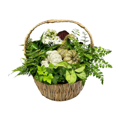 White Autumn Pumpkin Basket - Small