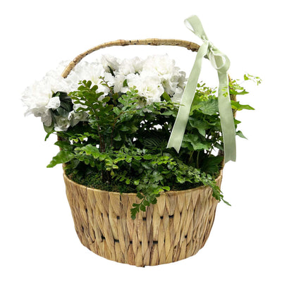 White Azalea Handle Basket
