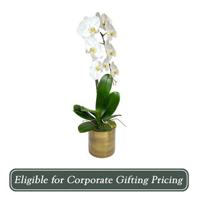White Cascade Orchid in Copper Pot