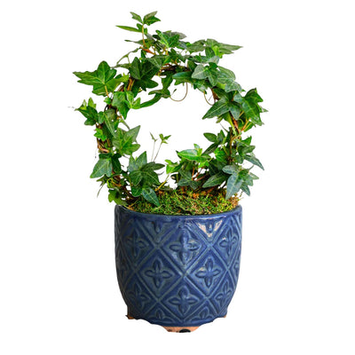 Ivy Ring in Blue Diamond Pot