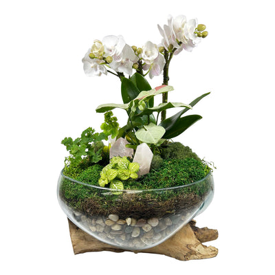 Orchid & Rose Quartz Teak Root Vase