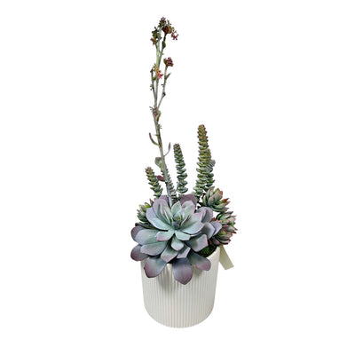 Faux Succulent Blooms in White Pot