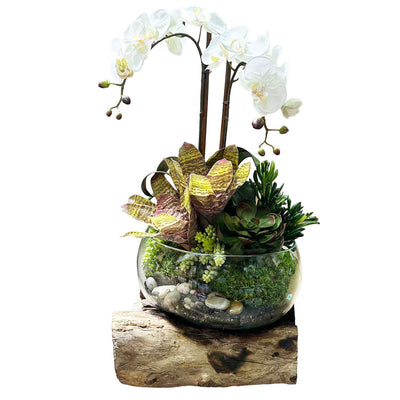 Faux White Orchids in Teak Glass Bowl