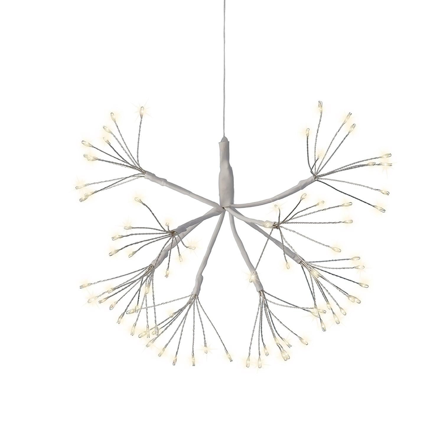 Micro Twinkle Lights Roger's Gardens