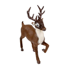 Reindeer