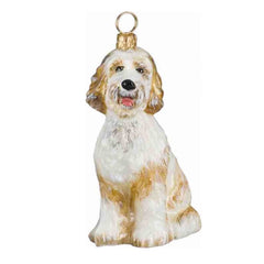 Goldendoodle White