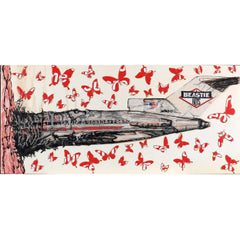 Beastie Boys Licensed To Ill - 12