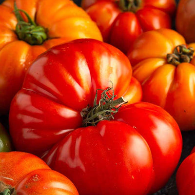 Beefsteak - 1 Gallon