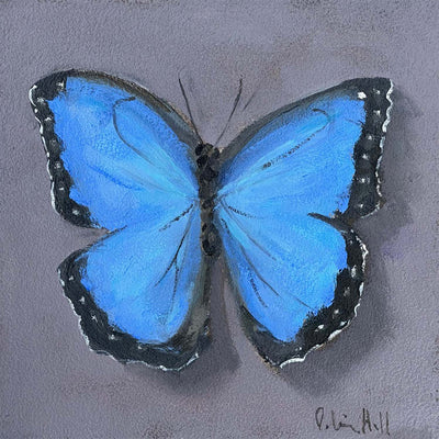 Blue Morpho - 8"x8"