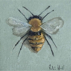 Brown Carder Bee - 4