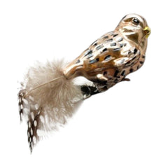 Brownish Clip Bird
