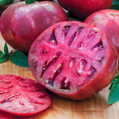 Cherokee Carbon - 1 Gallon