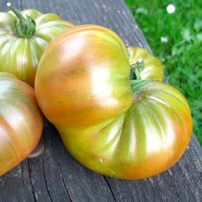 Copper Olive - 1 Gallon
