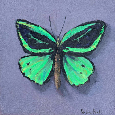 Emerald Birdwing - 8"x8"
