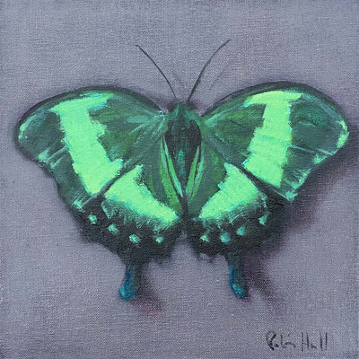 Emerald Swallowtail - 8"x8"