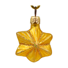 Mini Star Ornament - 2