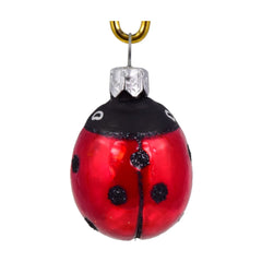 Mini Ladybug