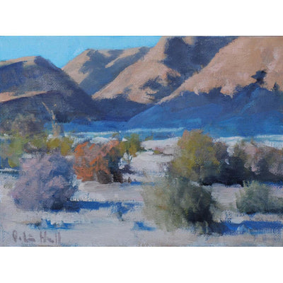 High Desert Shadows - 8" x 8"