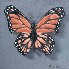 Monarch - 8