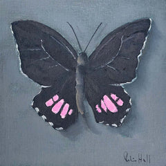 Pink Cattleheart - 8