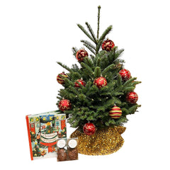 Children's Christmas Tree Kit - Red & Gold Ornaments