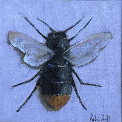 Red Tailed Bumblebee - 4