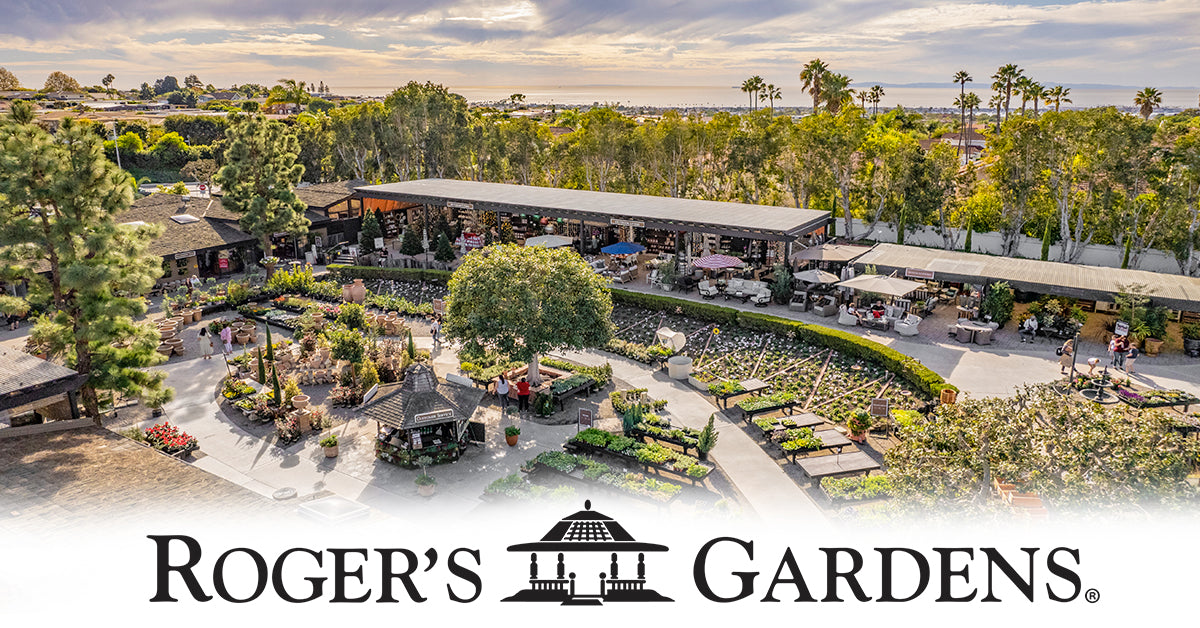 Events Roger's Gardens