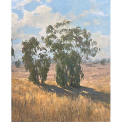 San Juan Capistrano Hillside 48