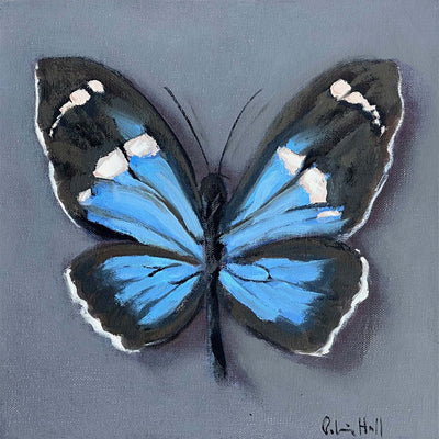 Sara Longwing - 8"x8"