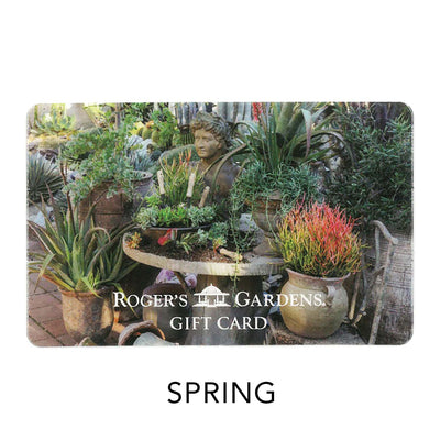 1000 Dollar Gift Card