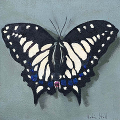 Swallowtail - 8