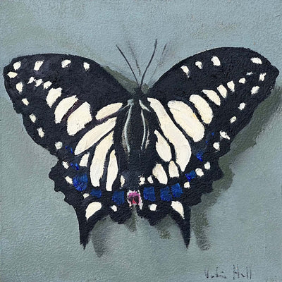 Swallowtail - 8"x8"