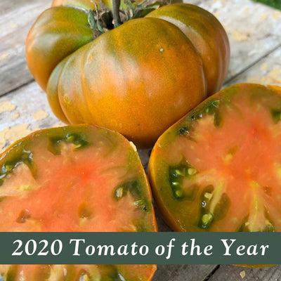 Thorburn's Terra Cotta - 1 Gallon