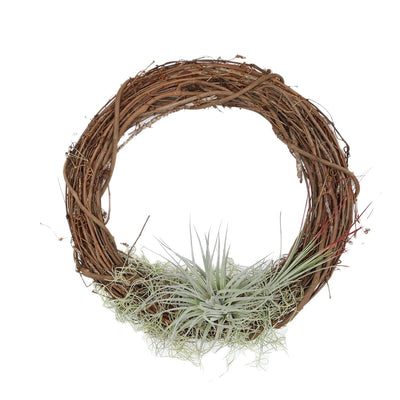 Tillandsia Wreath 10"
