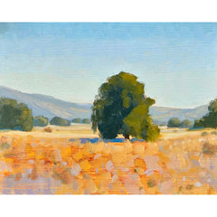 Summer Oak - 8