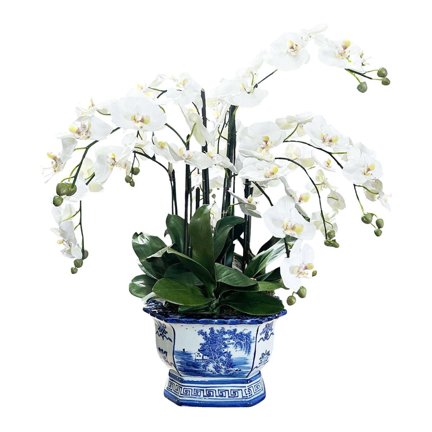 Faux Cascading Crisp White Phalaenopsis Orchids in a Chinoiserie