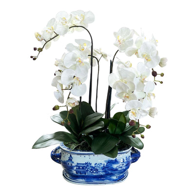 Faux Crisp White Phalaenopsis Orchids in Chinoiserie Porcelain Footbath