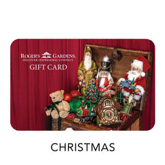 250 Dollar Gift Card