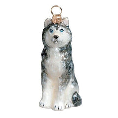 Siberian Husky