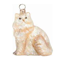 Cream Persian Cat