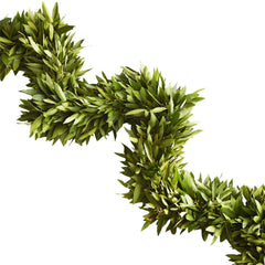 Fresh Bay Leaf Garland - 6'