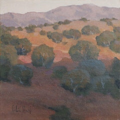 Oaks - 8