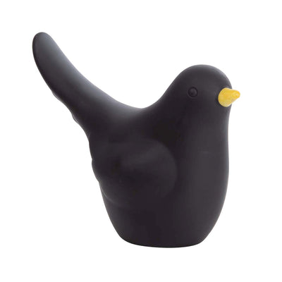 Black Bird Watering Can