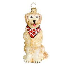 Golden Retriever W/ Bandana