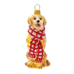 Golden Retriever W/ Scarf