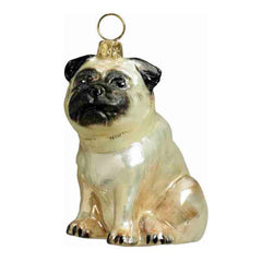 Pug Fawn