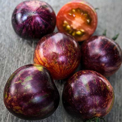 Black Strawberry - 4" Pot