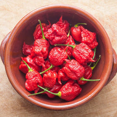 Carolina Reaper - 4