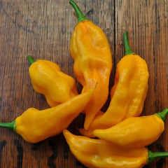 Fatalii - 4