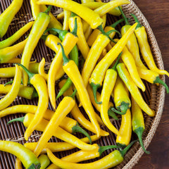 Golden Cayenne - 4